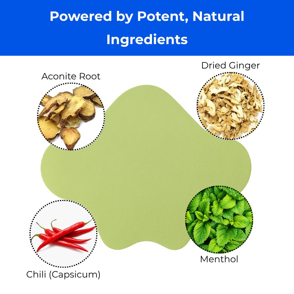 Sciatica Back Pain Relief Patches (30pcs)